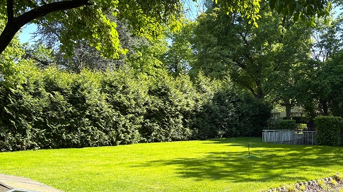 Dachgeschosswohnung in Berlin-Grunewald-Erstbezug nach Modernisierung !
