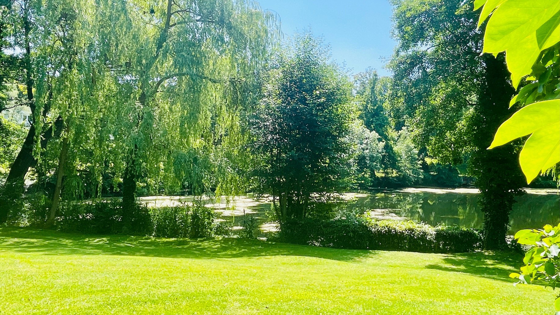 Exklusivverkaufsauftrag! Eine Oase inmitten der City- Wohnen auf Seegrundstück in Berlin-Grunewald !