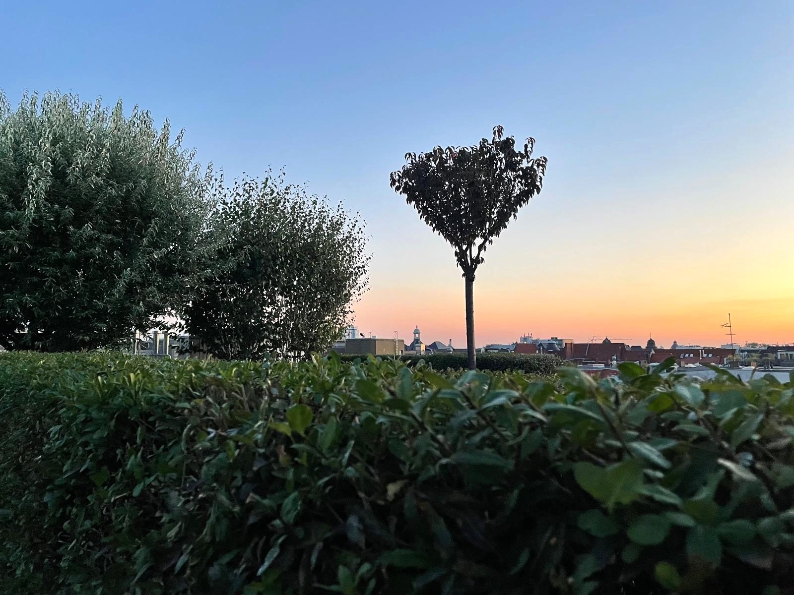 Sensationelles Penthouse mit einzigartigem Dachgarten in begehrter Lage von Berlin-Charlottenburg