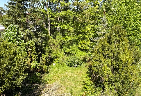 Sanierungsbedürftige 20er-Jahre- Doppelhaushälfte am Thielpark in  Berlin-Dahlem